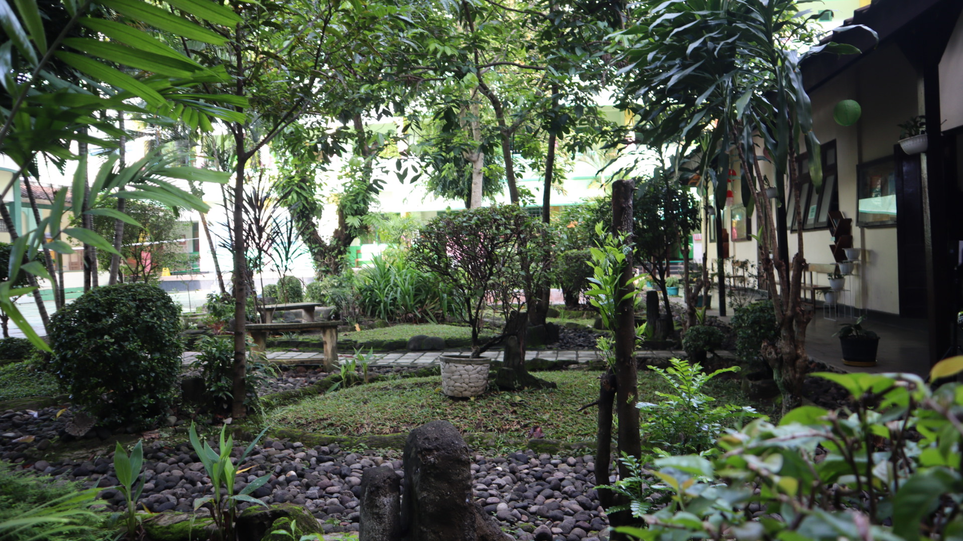 Taman